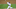 Mets Mets
