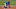 Mets Mets