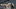 Mets
