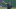 Mets
