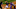 Nolan Arenado scores for the Colorado Rockies Nolan Arenado scores for the Colorado Rockies