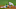 Colorado Rockies and Oakland Athletics Colorado Rockies and Oakland Athletics