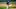 DENVER, CO – JULY 4: Yency Almonte #62 of the Colorado Rockies pitches from the mound during Major League Baseball Summer Workouts at Coors Field on July 4, 2020 in Denver, Colorado. (Photo by Justin Edmonds/Getty Images) DENVER, CO – JULY 4: Yency Almonte #62 of the Colorado Rockies pitches from the mound during Major League Baseball Summer Workouts at Coors Field on July 4, 2020 in Denver, Colorado. (Photo by Justin Edmonds/Getty Images)