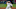Kansas City Royals reliever Greg Holland Kansas City Royals reliever Greg Holland