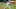 Kansas City Royals reliever Trevor Rosenthal Kansas City Royals reliever Trevor Rosenthal