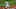 Kevin Pillar of the Colorado Rockies Kevin Pillar of the Colorado Rockies