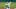 Kyle Freeland of the Colorado Rockies Kyle Freeland of the Colorado Rockies