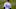 Mookie Betts, Colorado Rockies Mookie Betts, Colorado Rockies