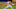 St. Louis Cardinals, Colorado Rockies, Jordan Hicks St. Louis Cardinals, Colorado Rockies, Jordan Hicks