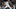 Jordan Sheffield of the Colorado Rockies Jordan Sheffield of the Colorado Rockies
