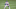 Colorado Rockies, Kansas City Royals, Whit Merrifield Colorado Rockies, Kansas City Royals, Whit Merrifield