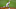 Colorado Rockies, Atlanta Braves, Tucker Davidson Colorado Rockies, Atlanta Braves, Tucker Davidson