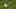 DENVER, CO – MAY 30: Outfielder Gerardo Parra. DENVER, CO – MAY 30: Outfielder Gerardo Parra.