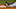 Trevor Story of the Colorado Rockies Trevor Story of the Colorado Rockies
