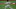 ARLINGTON, TEXAS – JULY 25: Jon Gray #55 of the Colorado Rockies throws against the Texas Rangers in the first inning at Globe Life Field on July 25, 2020 in Arlington, Texas. The 2020 season had been postponed since March due to the COVID-19 pandemic. (Photo by Ronald Martinez/Getty Images) ARLINGTON, TEXAS – JULY 25: Jon Gray #55 of the Colorado Rockies throws against the Texas Rangers in the first inning at Globe Life Field on July 25, 2020 in Arlington, Texas. The 2020 season had been postponed since March due to the COVID-19 pandemic. (Photo by Ronald Martinez/Getty Images)