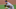Colorado Rockies pitcher Kyle Freeland Colorado Rockies pitcher Kyle Freeland