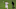 Trevor Story of the Colorado Rockies Trevor Story of the Colorado Rockies