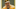 vintage-stargell vintage-stargell