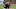 Pittsburgh Pirates Pittsburgh Pirates