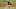 Pittsburgh Pirates Pittsburgh Pirates