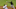 Pittsburgh Pirates could deal Harison Pittsburgh Pirates could deal Harison