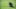 Pittsburgh Pirates prospects Pittsburgh Pirates prospects