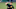 Jameson Taillon Jameson Taillon