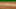Pittsburgh Pirates Pittsburgh Pirates