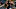Pittsburgh Pirates Pittsburgh Pirates