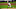 PITTSBURGH, PA – AUGUST 21: Keone Kela #35 of the Pittsburgh Pirates pitches during the ninth inning against the Milwaukee Brewers at at PNC Park on August 21, 2020 in Pittsburgh, Pennsylvania. (Photo by Joe Sargent/Getty Images) PITTSBURGH, PA – AUGUST 21: Keone Kela #35 of the Pittsburgh Pirates pitches during the ninth inning against the Milwaukee Brewers at at PNC Park on August 21, 2020 in Pittsburgh, Pennsylvania. (Photo by Joe Sargent/Getty Images)