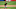 CINCINNATI, OH – SEPTEMBER 14: Sam Howard #54 of the Pittsburgh Pirates pitches in the sixth inning against the Cincinnati Reds during game one of a doubleheader at Great American Ball Park on September 14, 2020 in Cincinnati, Ohio. Cincinnati defeated Pittsburgh 3-1. (Photo by Jamie Sabau/Getty Images) CINCINNATI, OH – SEPTEMBER 14: Sam Howard #54 of the Pittsburgh Pirates pitches in the sixth inning against the Cincinnati Reds during game one of a doubleheader at Great American Ball Park on September 14, 2020 in Cincinnati, Ohio. Cincinnati defeated Pittsburgh 3-1. (Photo by Jamie Sabau/Getty Images)