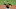 CLEVELAND, OHIO – SEPTEMBER 26: Starting pitcher Joe Musgrove #59 of the Pittsburgh Pirates pitches during the first inning against the Cleveland Indians at Progressive Field on September 26, 2020 in Cleveland, Ohio. (Photo by Jason Miller/Getty Images) CLEVELAND, OHIO – SEPTEMBER 26: Starting pitcher Joe Musgrove #59 of the Pittsburgh Pirates pitches during the first inning against the Cleveland Indians at Progressive Field on September 26, 2020 in Cleveland, Ohio. (Photo by Jason Miller/Getty Images)