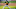 Pittsburgh Pirates Pittsburgh Pirates