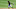 Pittsburgh Pirates Pittsburgh Pirates
