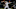 Feb 18, 2020; Texas Longhorns’ second base Brenden Dixon (1) swings the bat during a game against UTSA in Austin on Tuesday, Februery 18, 2020. Mandatory Credit: Lola Gomez/American-Statesman – USA TODAY Network Feb 18, 2020; Texas Longhorns’ second base Brenden Dixon (1) swings the bat during a game against UTSA in Austin on Tuesday, Februery 18, 2020. Mandatory Credit: Lola Gomez/American-Statesman – USA TODAY Network