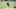 Pittsburgh Pirates