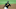 Pittsburgh Pirates Pittsburgh Pirates