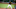 Pittsburgh Pirates Pittsburgh Pirates