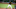 Pittsburgh Pirates Pittsburgh Pirates