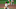 Pittsburgh Pirates Pittsburgh Pirates