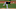 Pittsburgh Pirates Pittsburgh Pirates