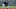 Pittsburgh Pirates Pittsburgh Pirates