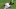 Wisconsin Timber Rattlers’ Korry Howell (11) makes a catch against the Quad Cities River Bandits during their baseball game Thursday, July 7, 2021, at Neuroscience Group Field at Fox Cities Stadium in Grand Chute, Wis. The Wisconsin Timber Rattlers won 8-7.Dan Powers/USA TODAY NETWORK-WisconsinApc Rattlersvsquad 0707210484djp Wisconsin Timber Rattlers’ Korry Howell (11) makes a catch against the Quad Cities River Bandits during their baseball game Thursday, July 7, 2021, at Neuroscience Group Field at Fox Cities Stadium in Grand Chute, Wis. The Wisconsin Timber Rattlers won 8-7.Dan Powers/USA TODAY NETWORK-WisconsinApc Rattlersvsquad 0707210484djp