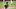 Wil Myers playing vs. Seattle Mariners Wil Myers playing vs. Seattle Mariners
