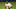 Kyle Lewis of the Seattle Mariners runs off the field after the last out. Kyle Lewis of the Seattle Mariners runs off the field after the last out.