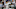 Mariners Hitting Proposal for Pablo Lopez Mariners Hitting Proposal for Pablo Lopez