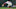 Chicago White Sox Yoan Moncada Chicago White Sox Yoan Moncada