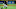 Chicago White Sox Yoan Moncada Chicago White Sox Yoan Moncada
