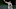 Chicago White Sox Yolmer Sanchez Chicago White Sox Yolmer Sanchez