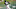Chicago White Sox Luis Robert Chicago White Sox Luis Robert